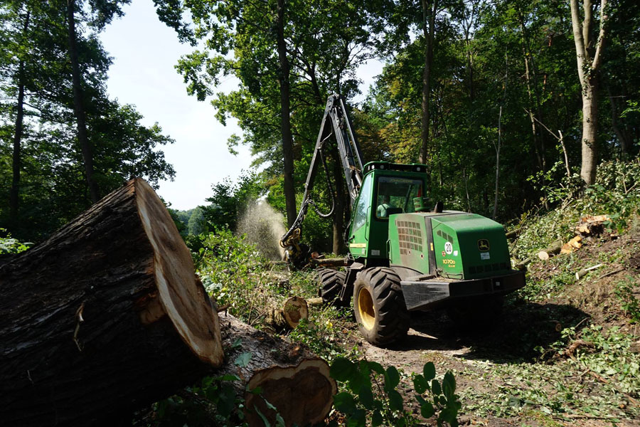 Holzeinschlag & Holzrueckung