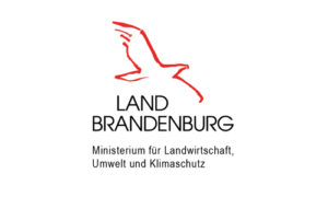 Forstausschuss der obersten Forstbehörde des Landes Brandenburg